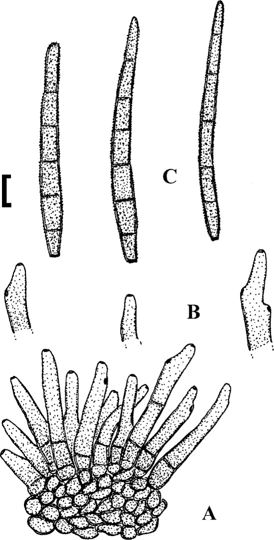 Fig. 58.