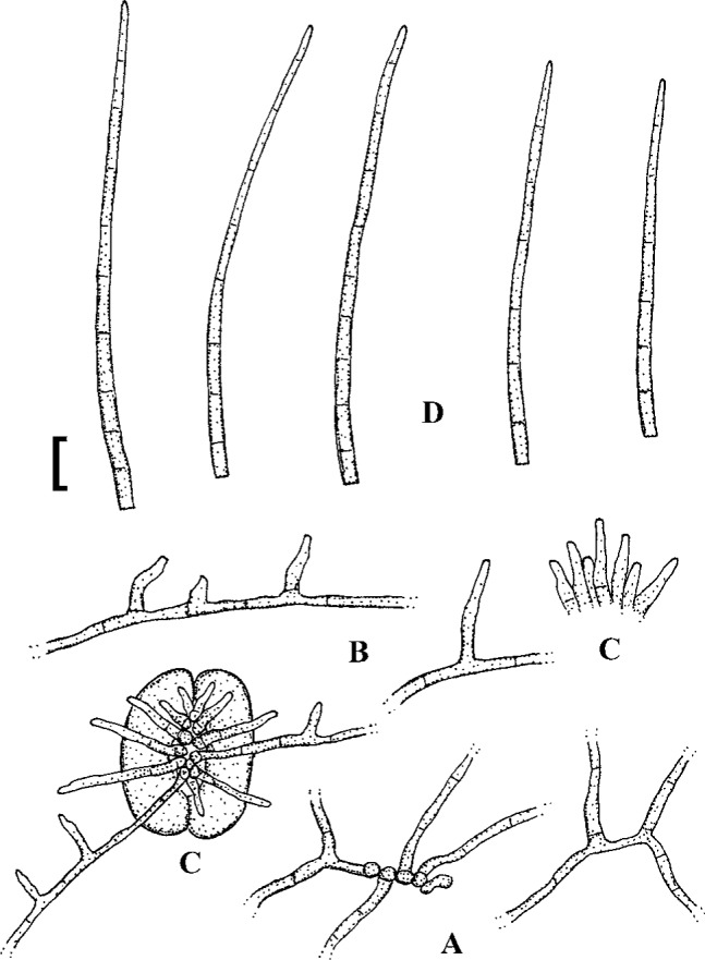 Fig. 53.