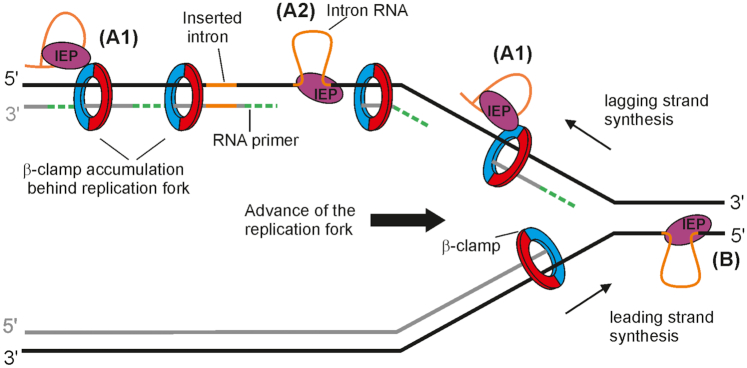 Figure 7.