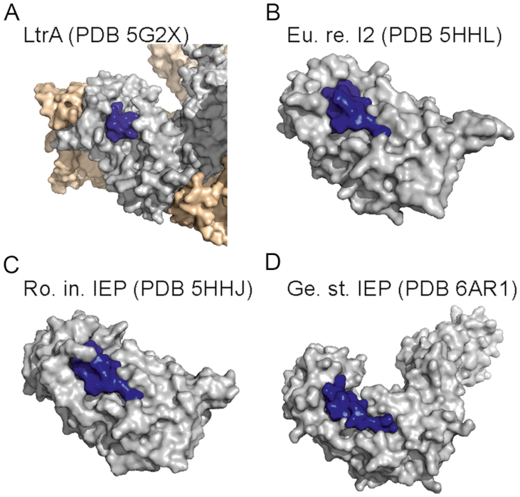 Figure 5.