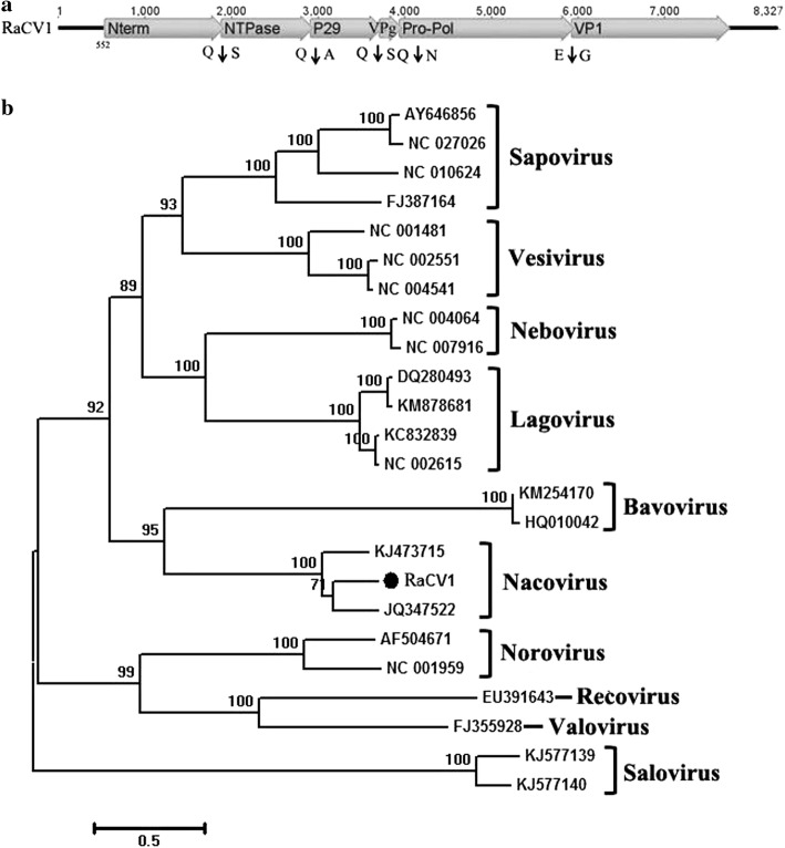 Fig. 7