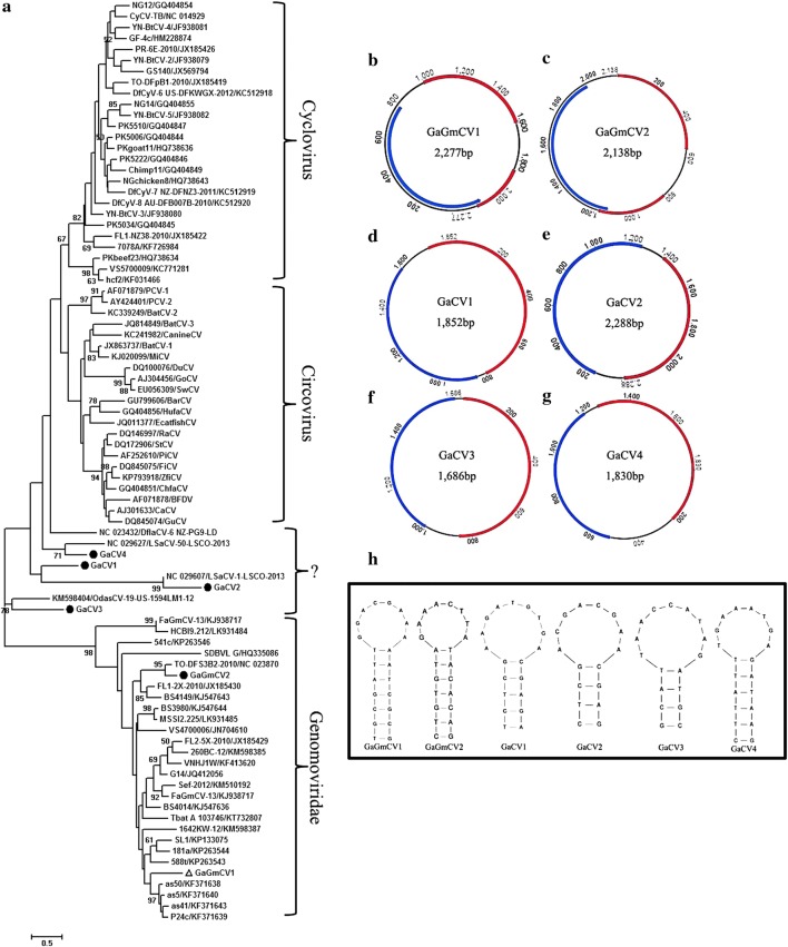 Fig. 6