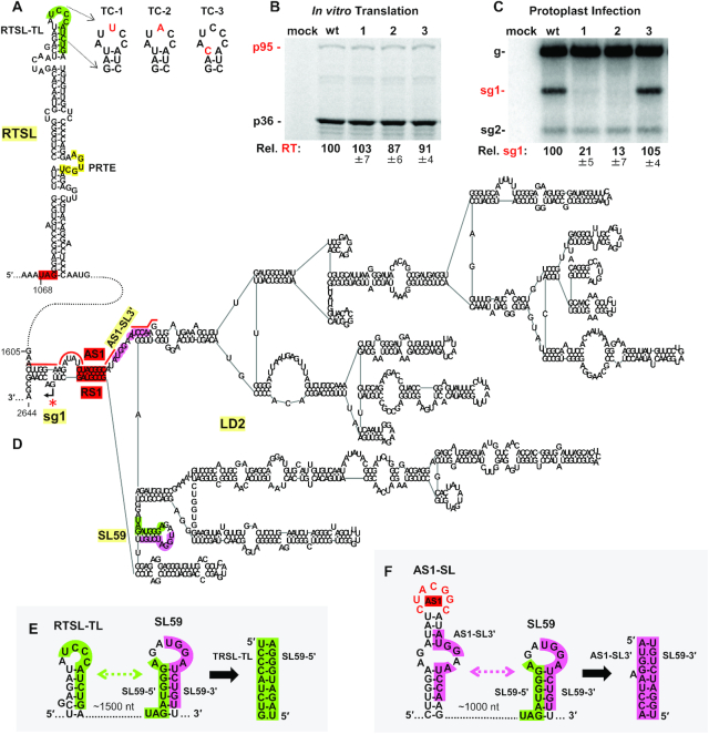 Figure 2.