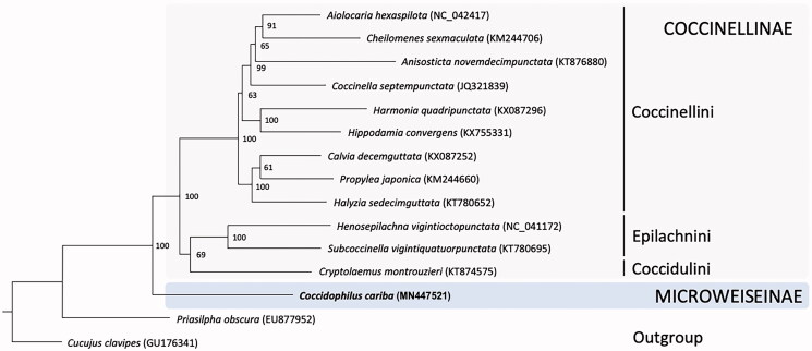 Figure 1.