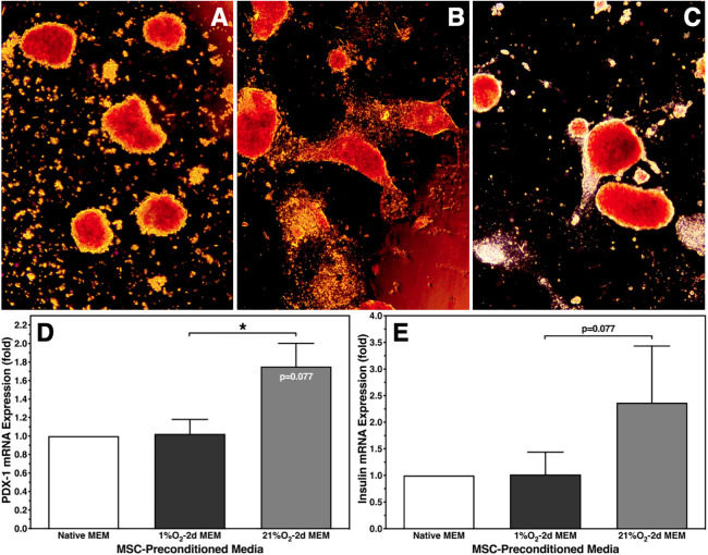 Fig. 4.