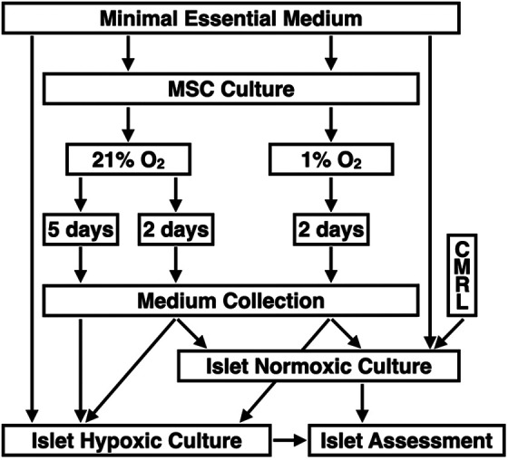 Fig. 1.