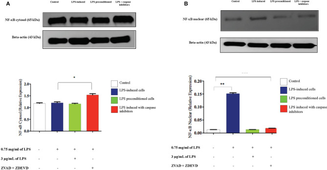 Figure 20