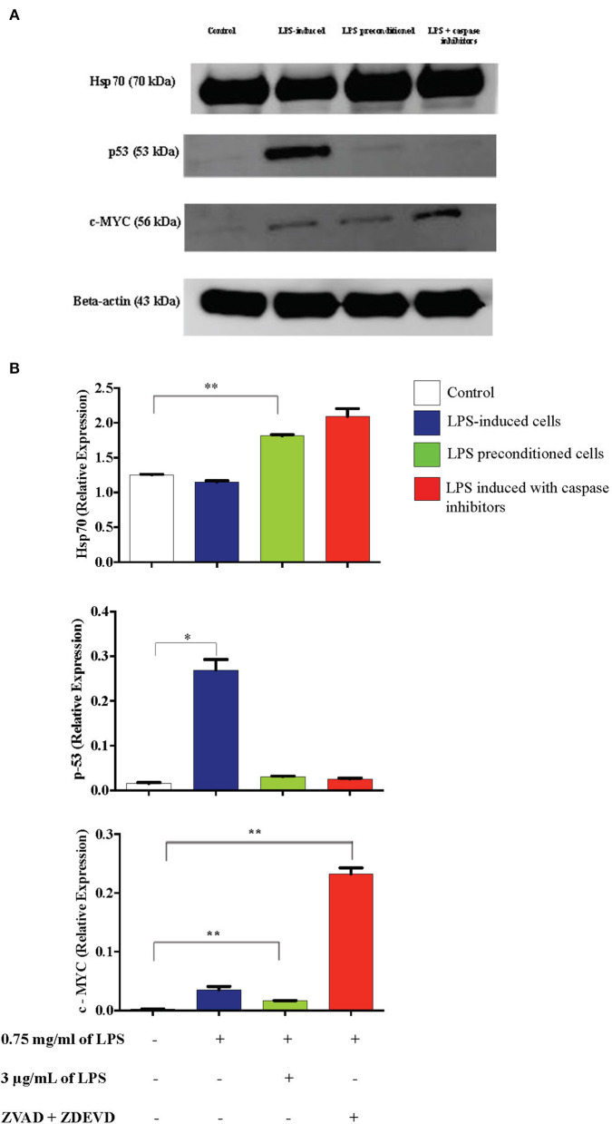 Figure 21