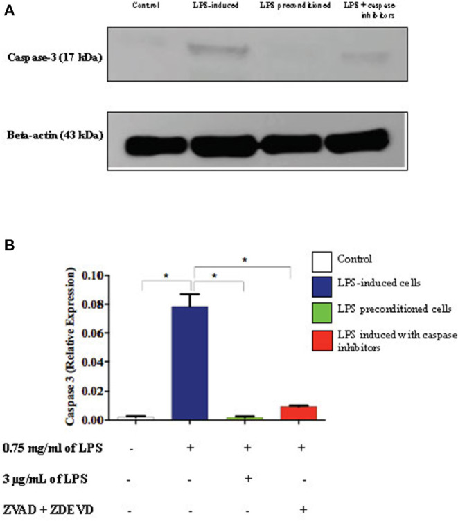 Figure 19