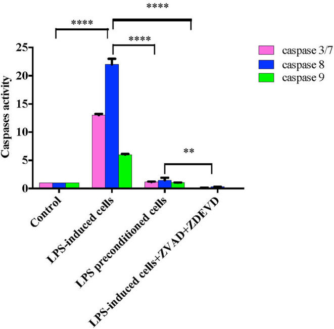 Figure 18