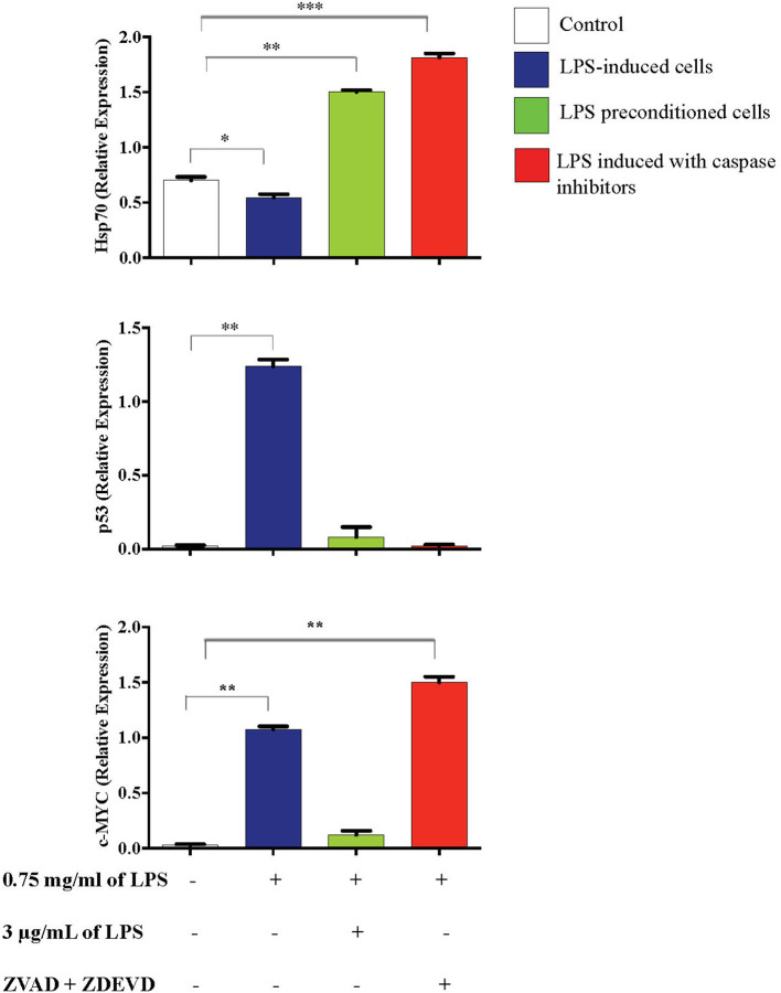 Figure 22