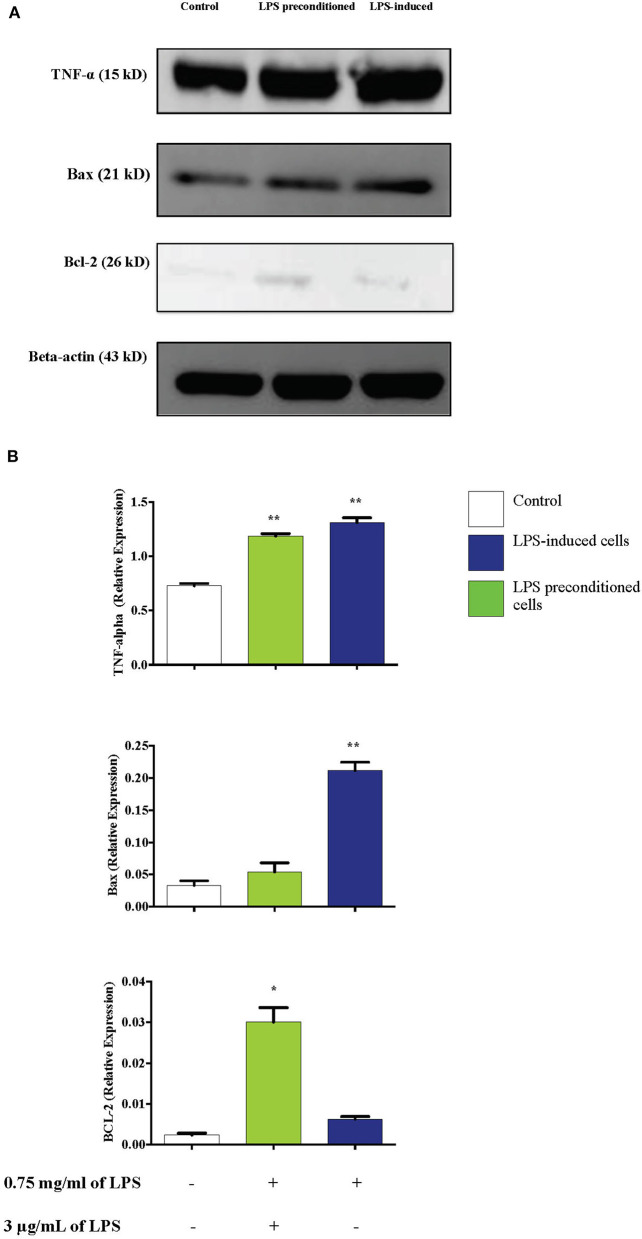 Figure 17