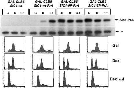 Figure 4.—