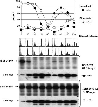 Figure 5.—