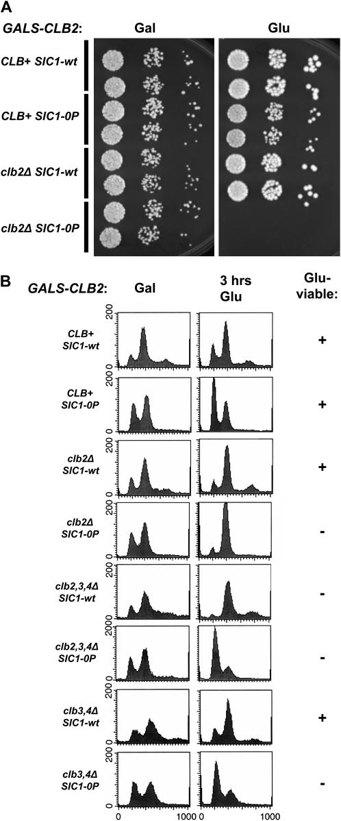 Figure 9.—