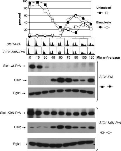 Figure 11.—