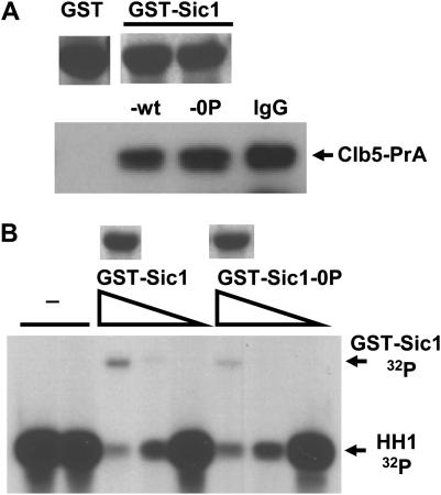 Figure 3.—