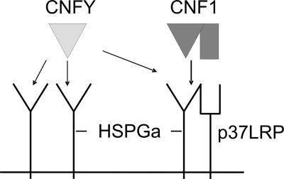 FIG. 8.