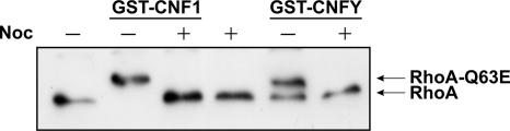 FIG. 7.