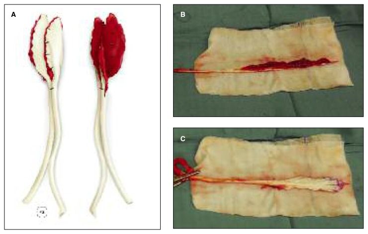 Fig. 2