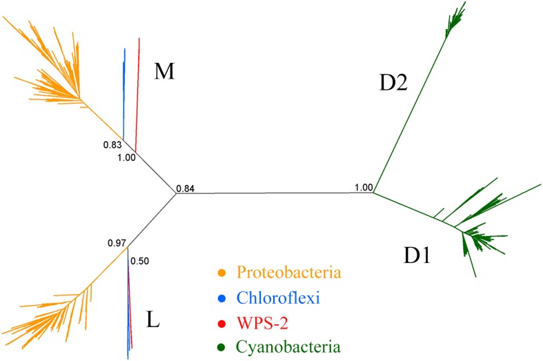 FIGURE 2