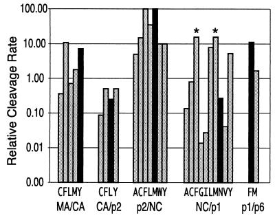 FIG. 5.