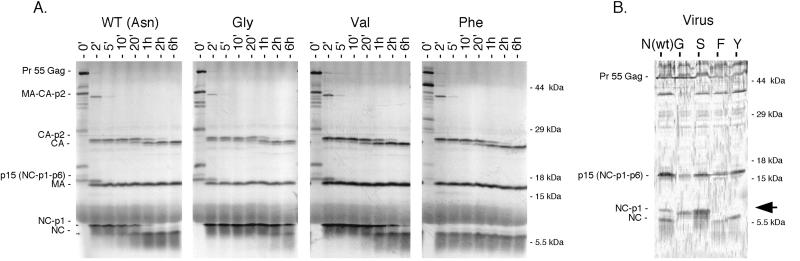 FIG. 4.