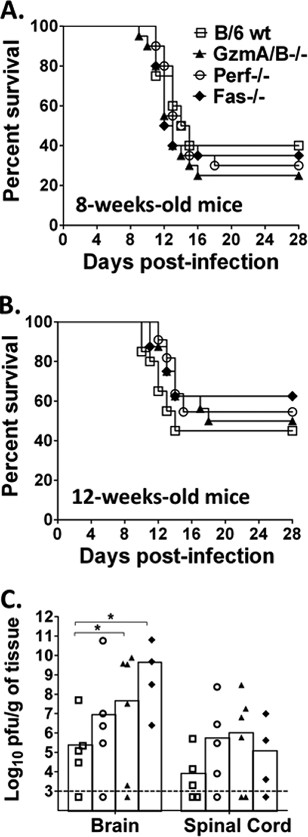 Fig. 8.