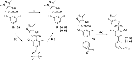 Scheme 5