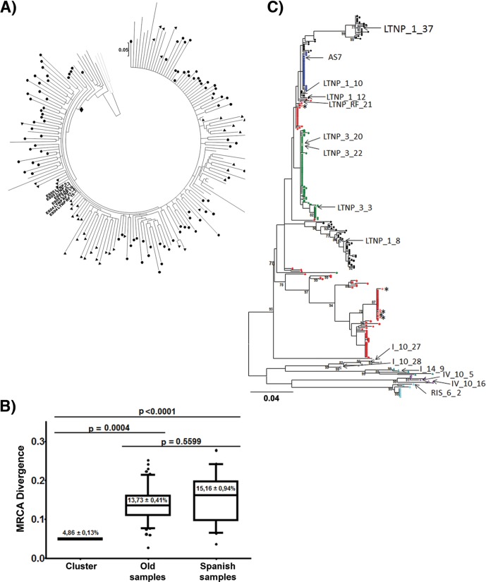 FIG 1 