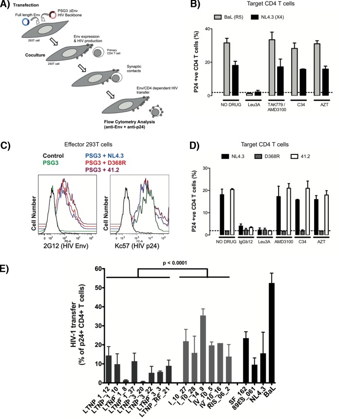 FIG 3 