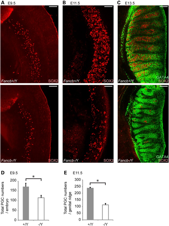 Figure 2.