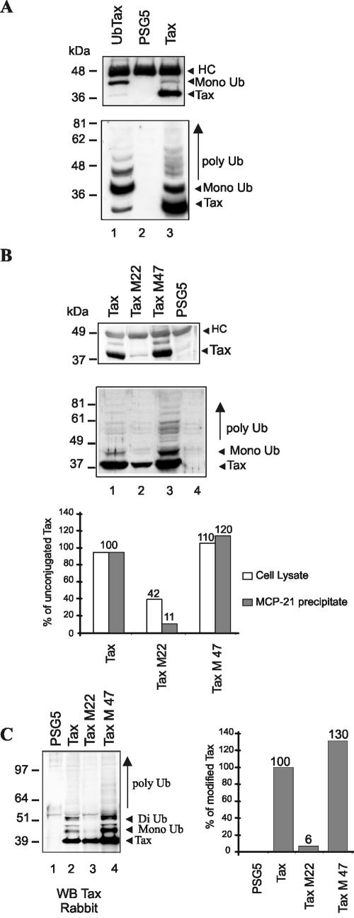 FIG. 5.