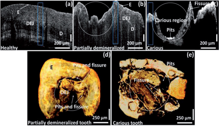 Fig.7