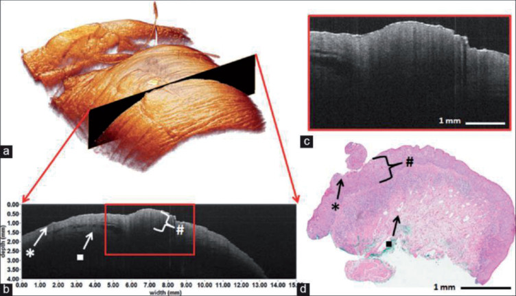 Fig.4