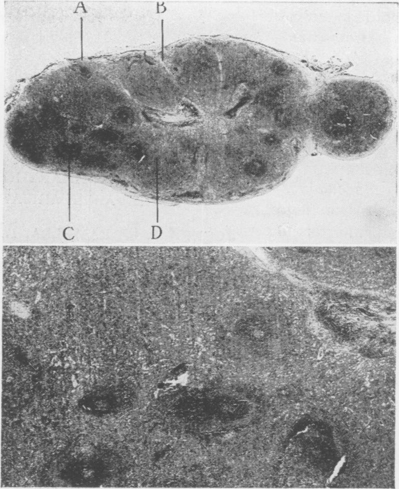 Fig. 2., Fig. 3.