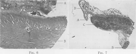 Fig. 6., Fig. 7.