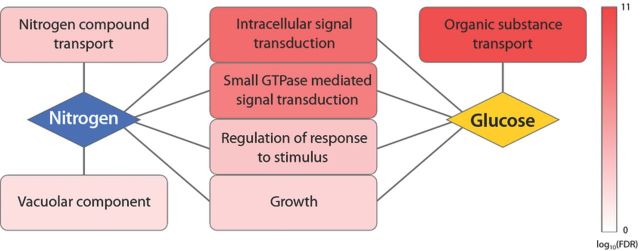 Figure 7.