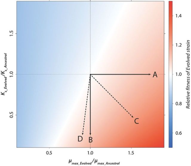 Figure 5.