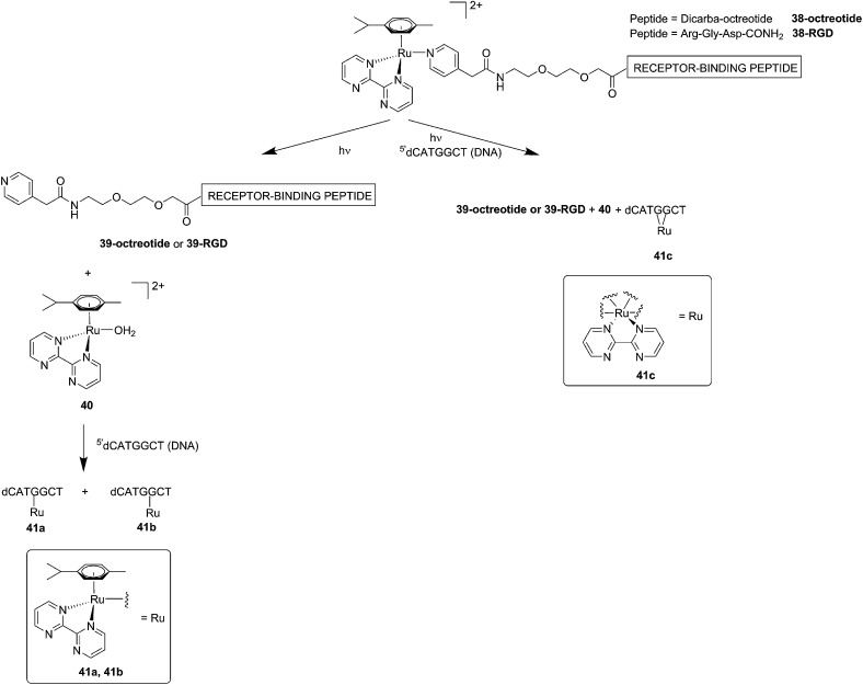 Fig. 29