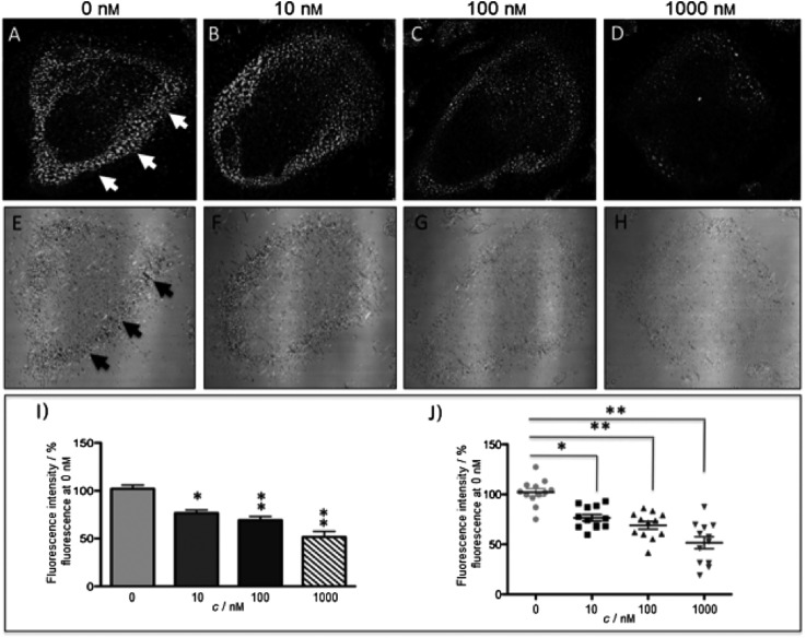 Fig. 39