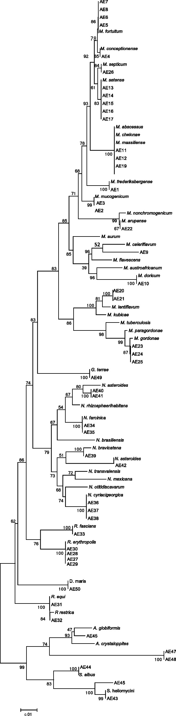 Fig. 2