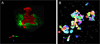 Figure 4.20.3