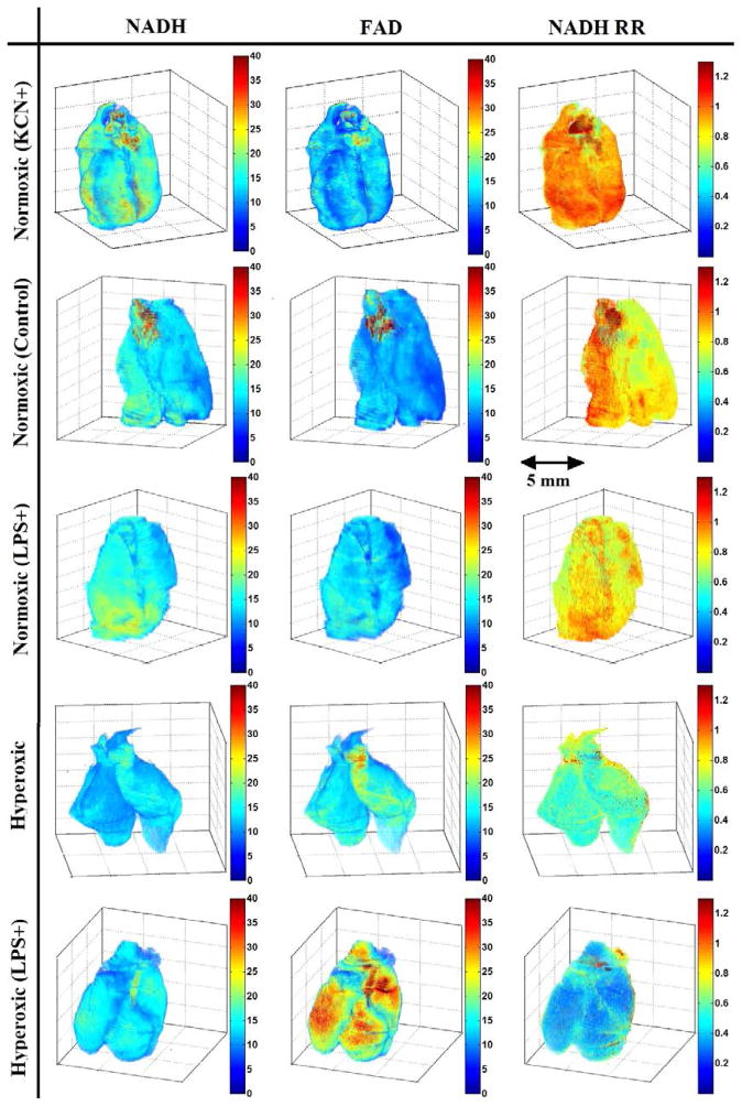 Fig. 2