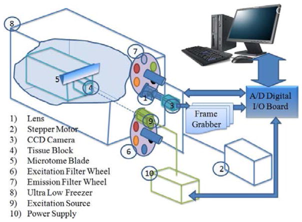 Fig. 1