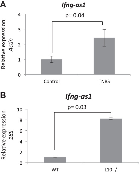 Fig. 10.