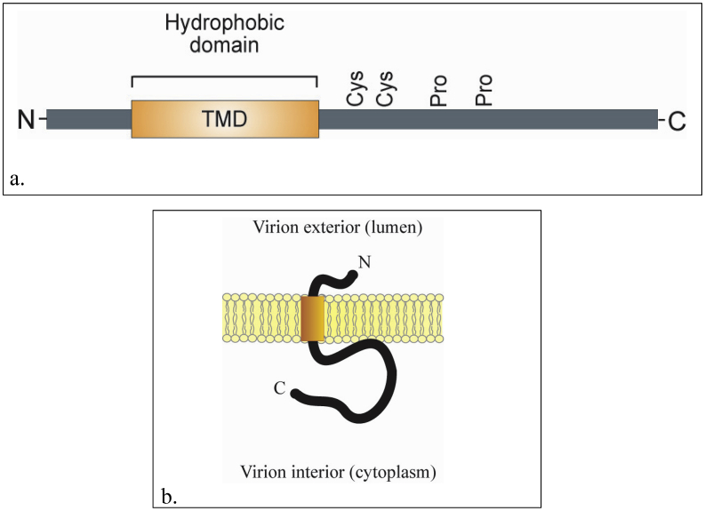 Figure 4