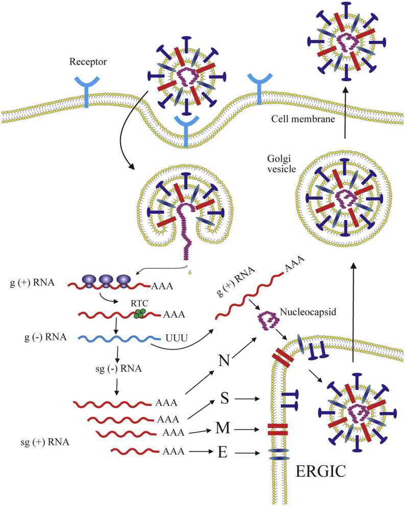 Figure 7