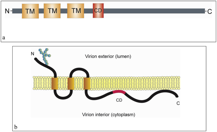 Figure 3