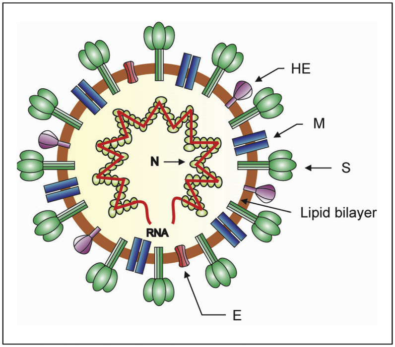 Figure 1